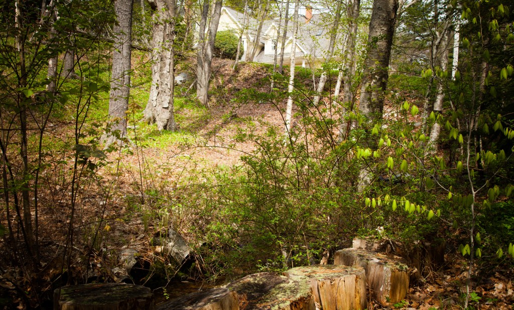 view to glass house (1 of 1)