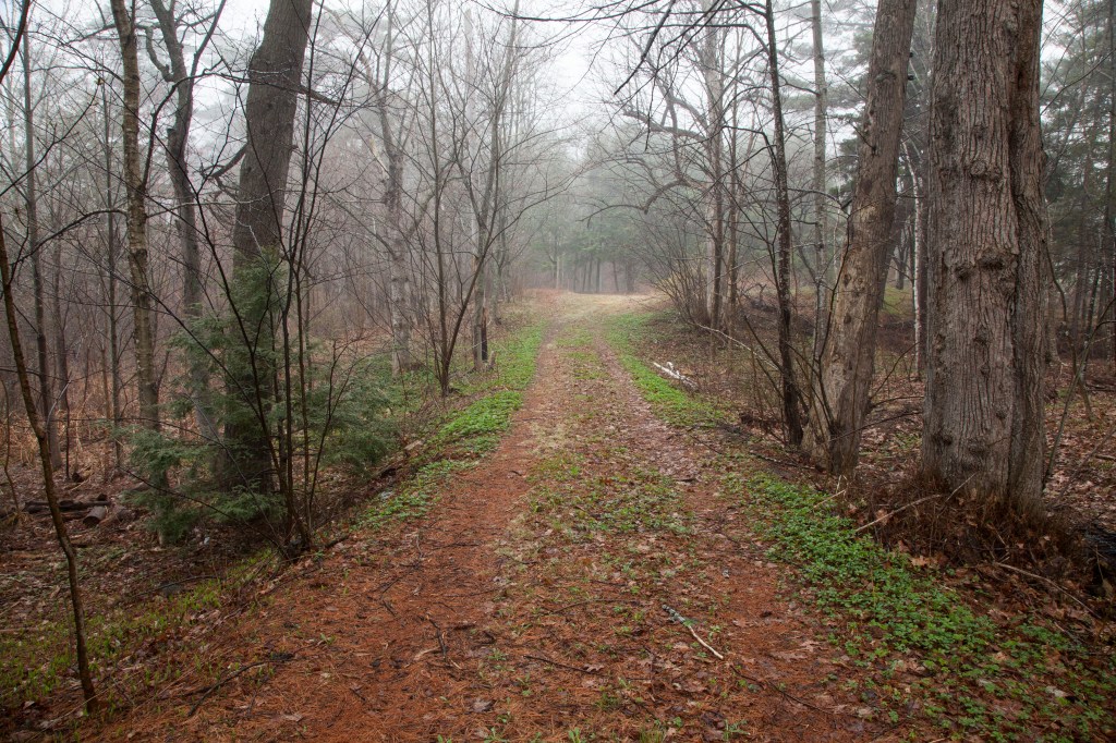 waltoncottagedriveway