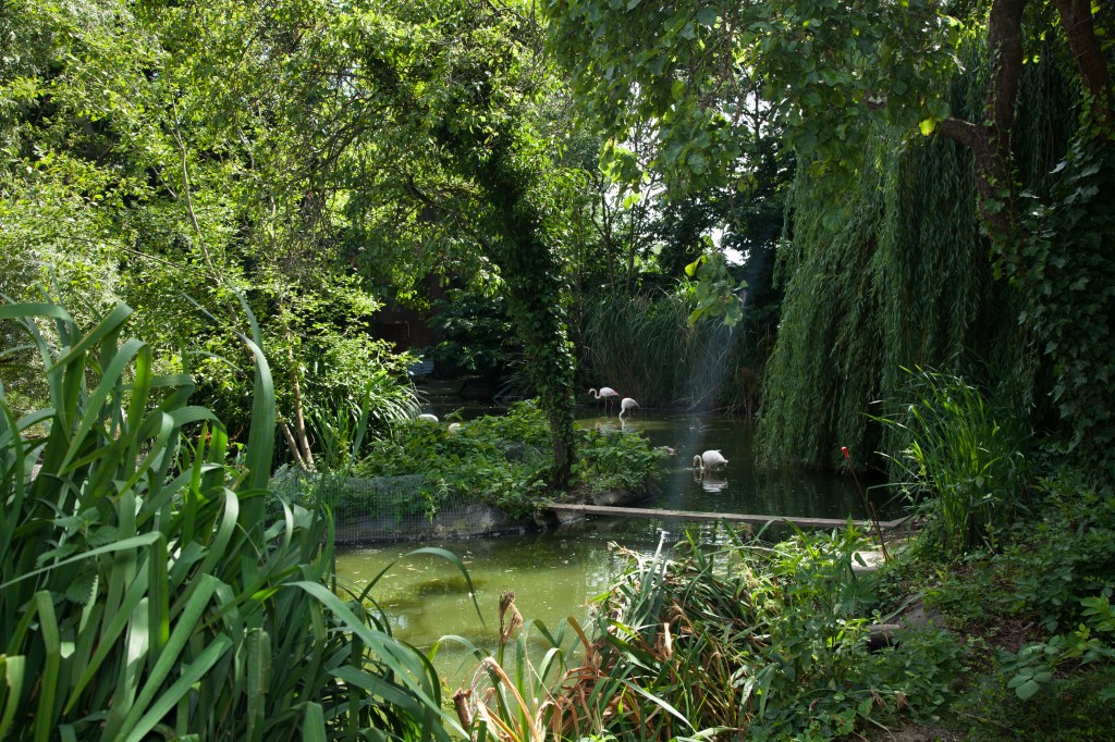 Three Island pond (1 of 1)