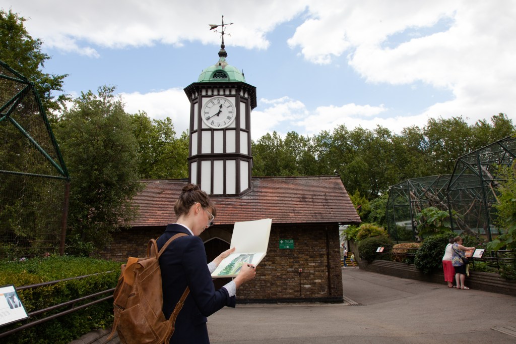 zoo drawing (1 of 1)