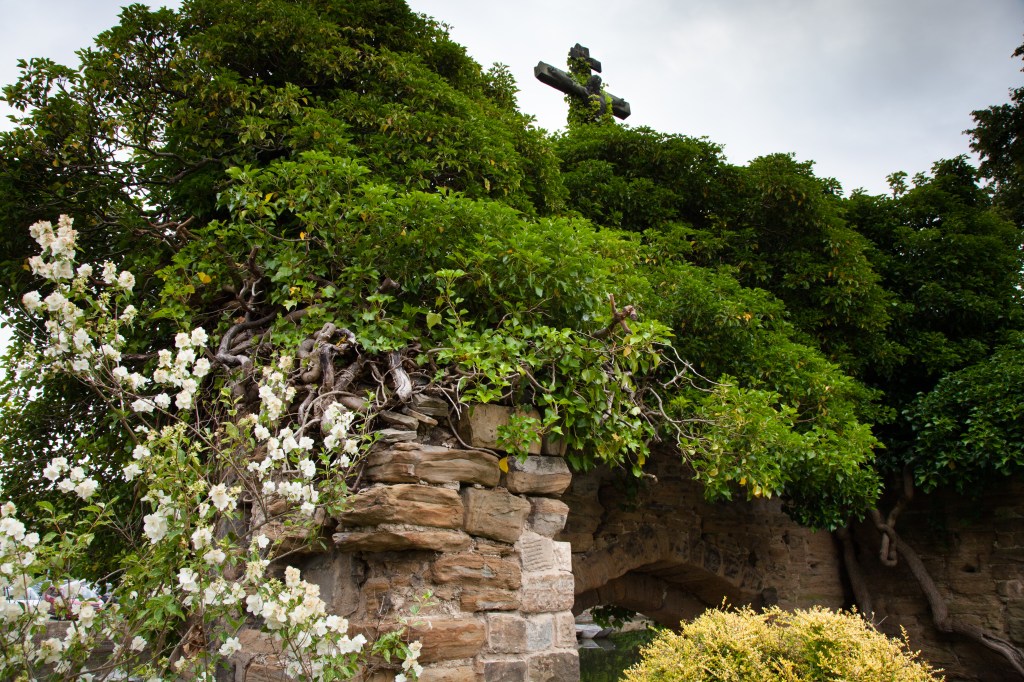 Walton Hall 120 (1 of 1)