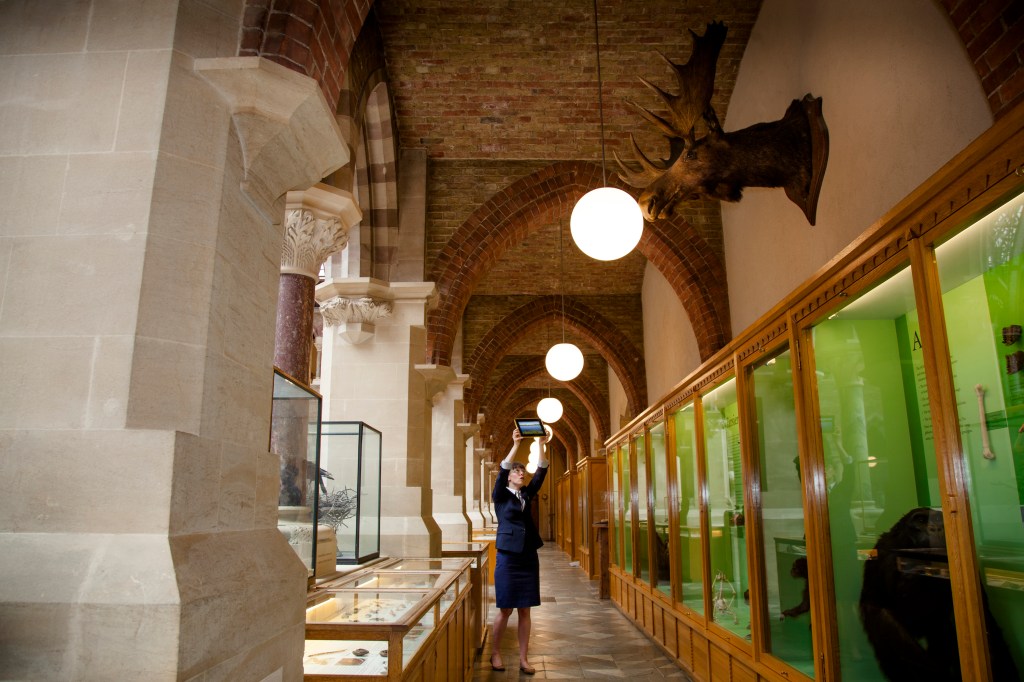 Oxford Moosehead (1 of 1)