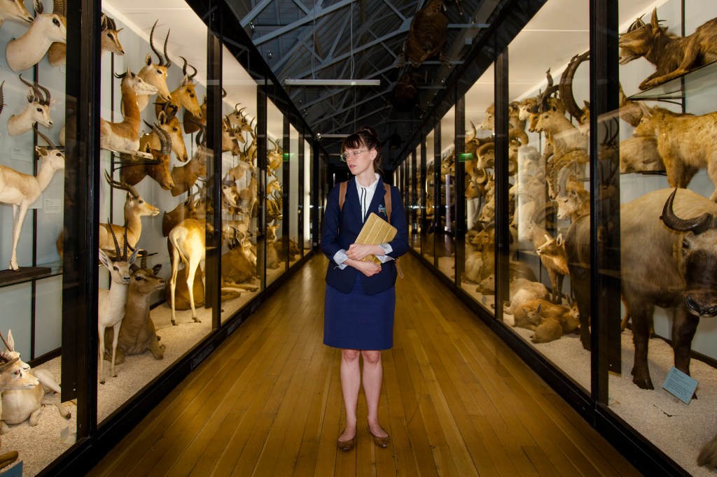 Tring Antlers (1 of 1)