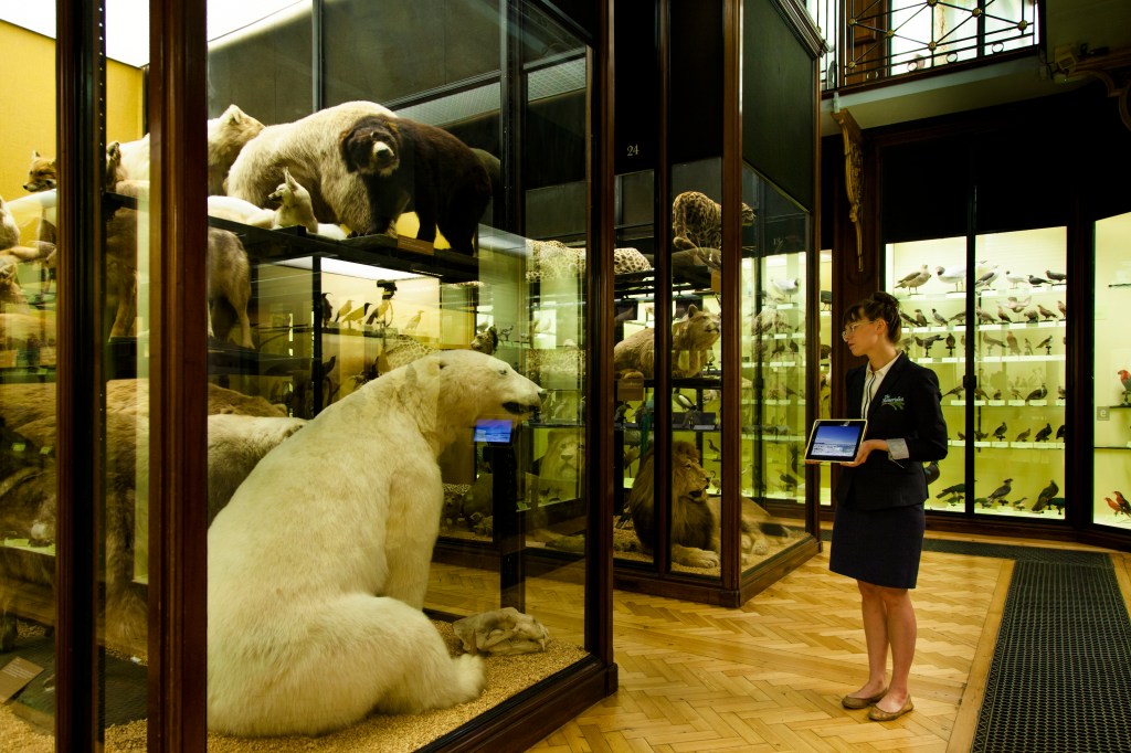 TringPolarBear (1 of 1)