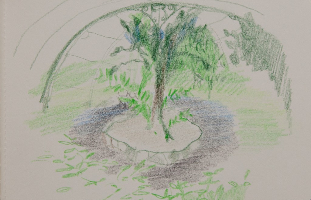 Paris sketch (1 of 1)