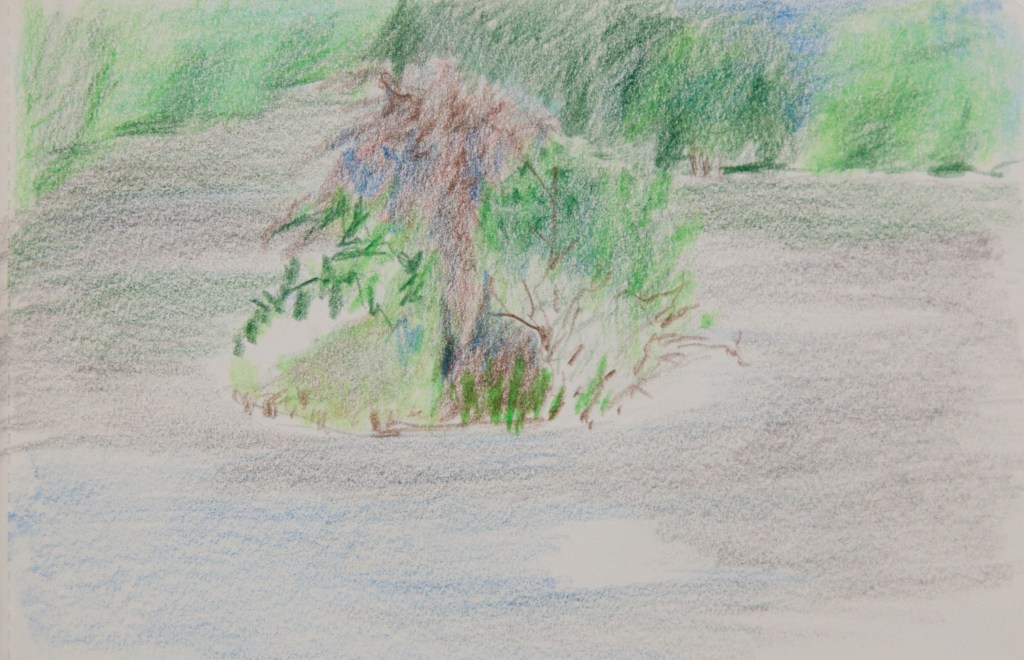 Walton sketch (1 of 1)